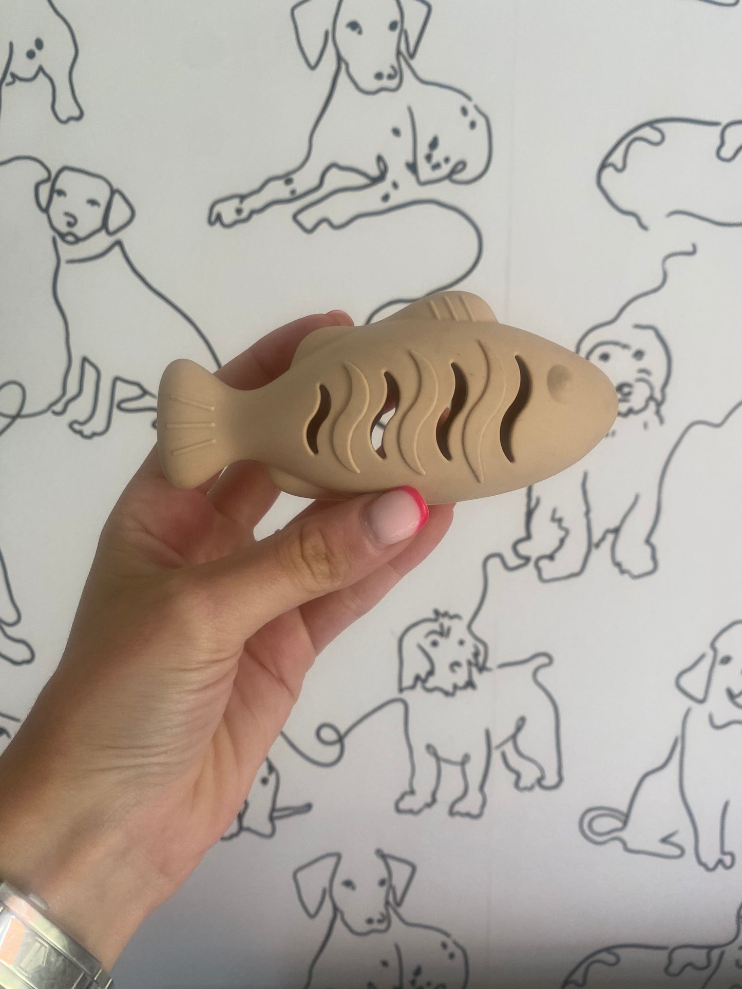 Mini Fish Treat Toy