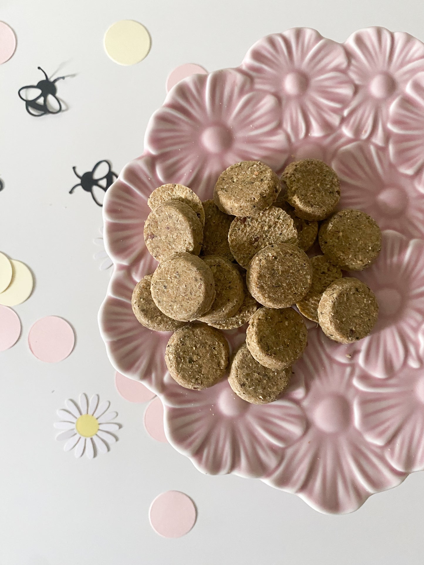 Peanut Butter, Blueberry & Apple Superfood Coins | 120g