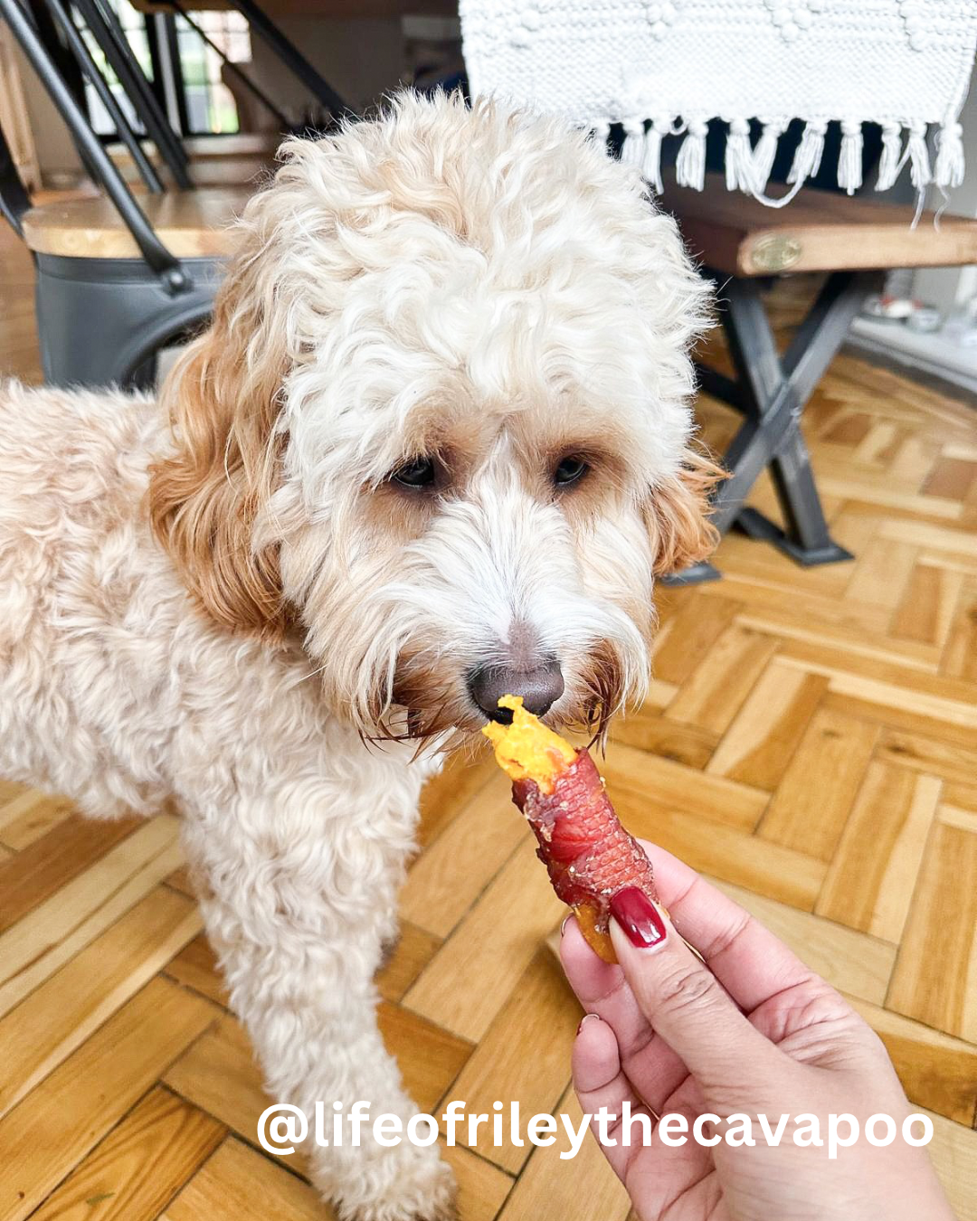 Duck & Mango Sticks