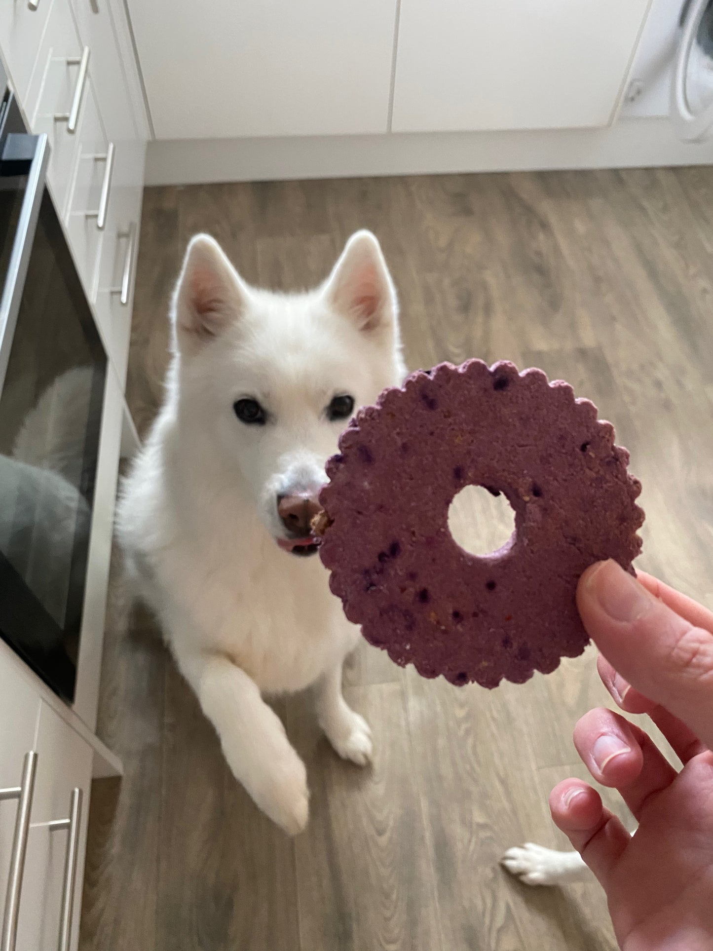 Apawtiser Berry Cookie