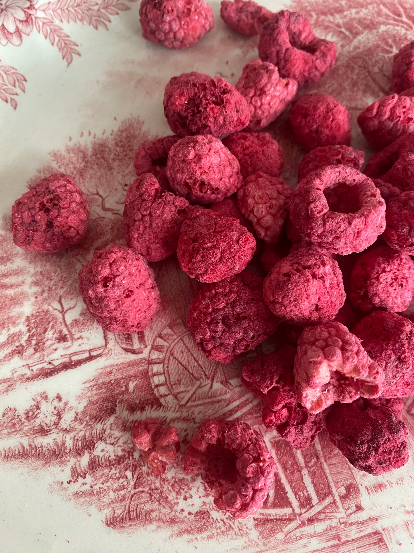 Freeze Dried Raspberry