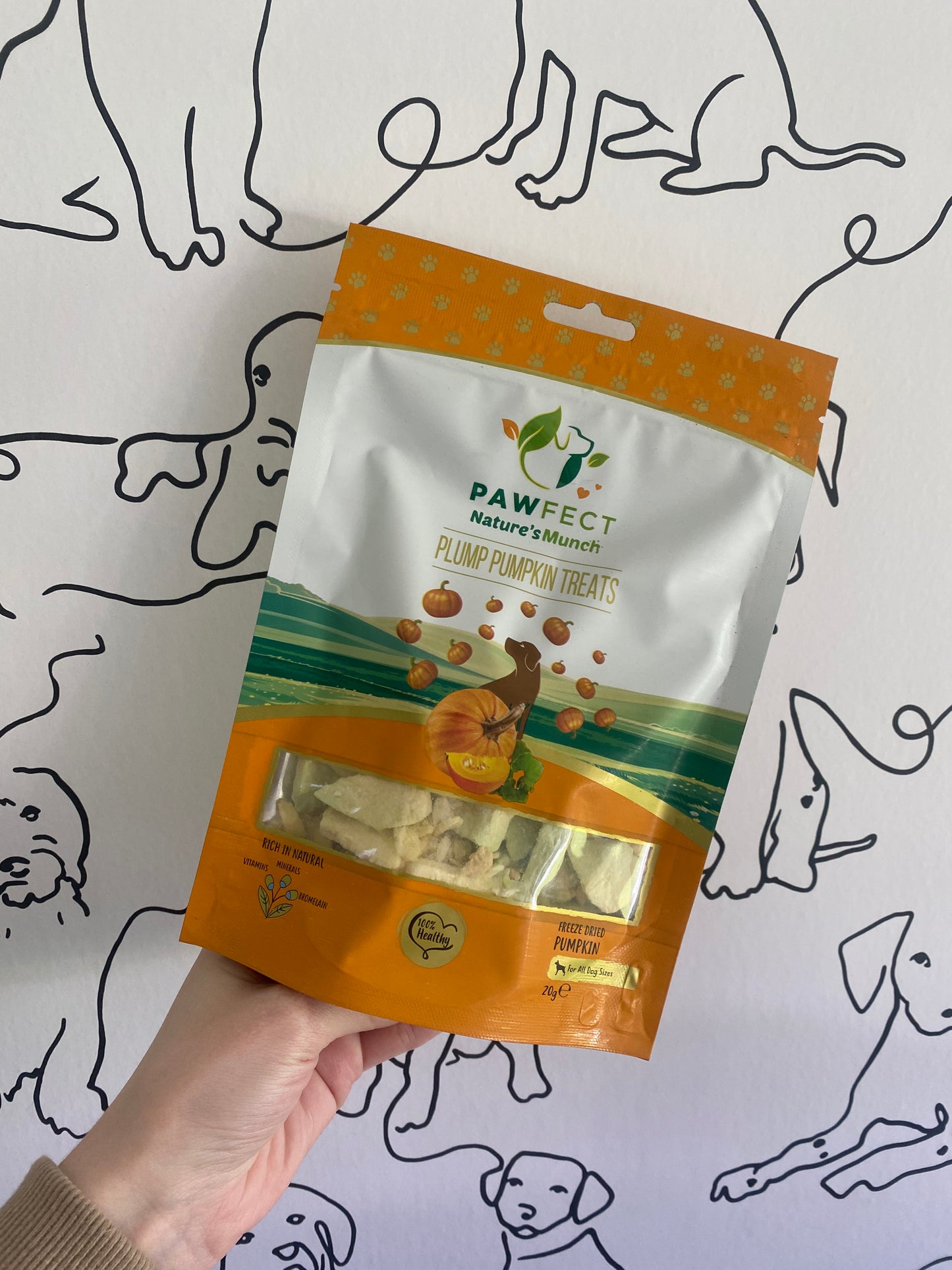 Freeze Dried Pumpkin