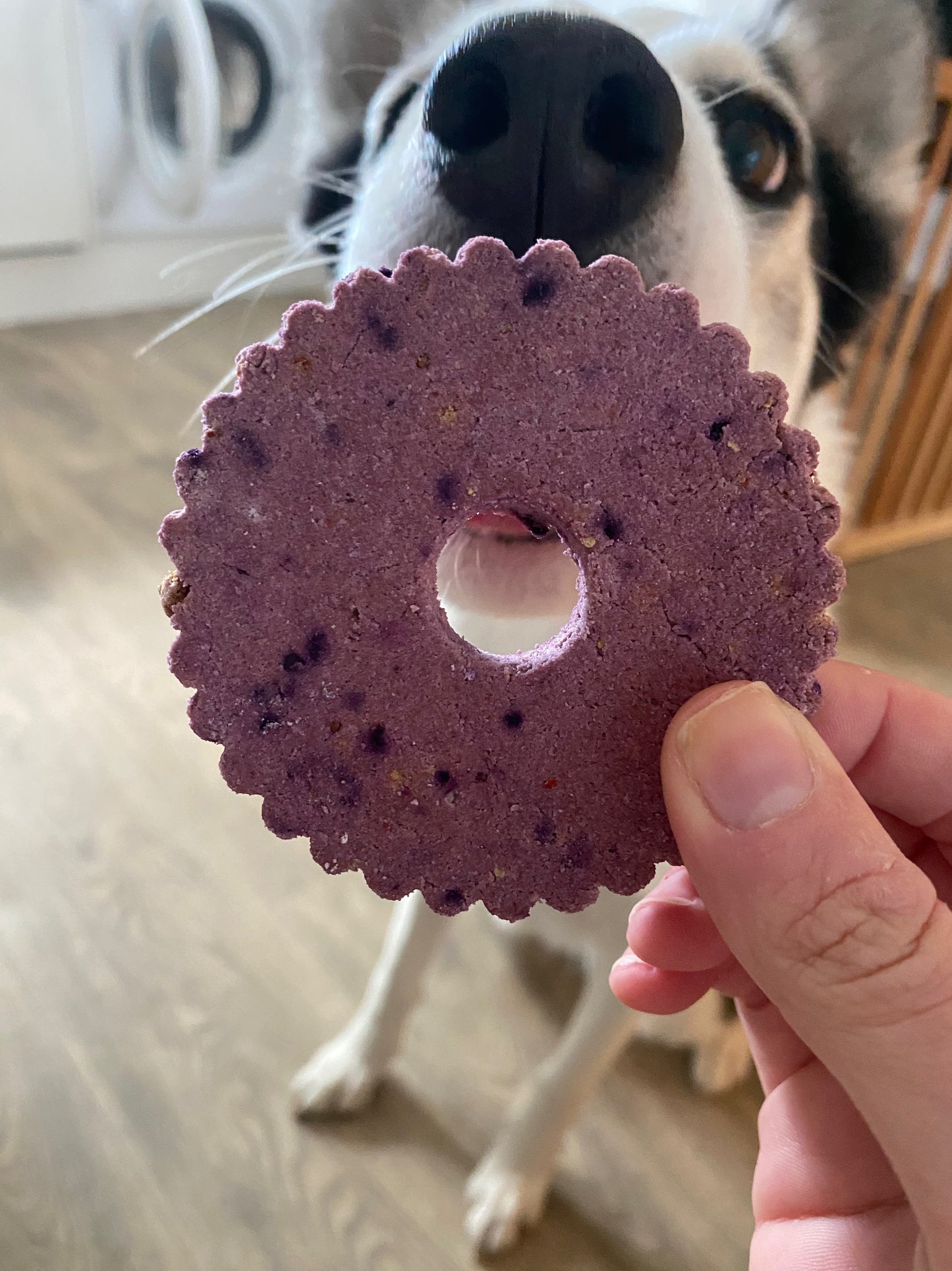 Apawtiser Berry Cookie