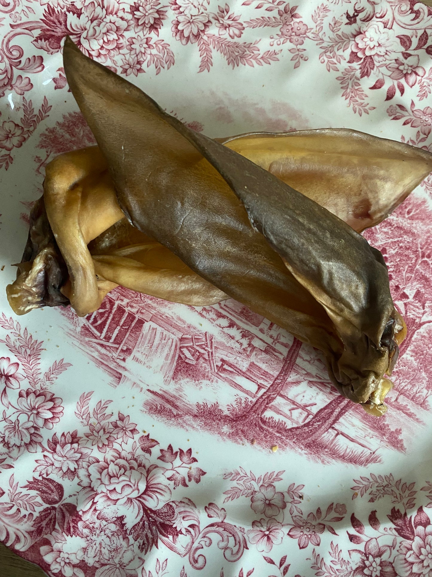 Deer Ears