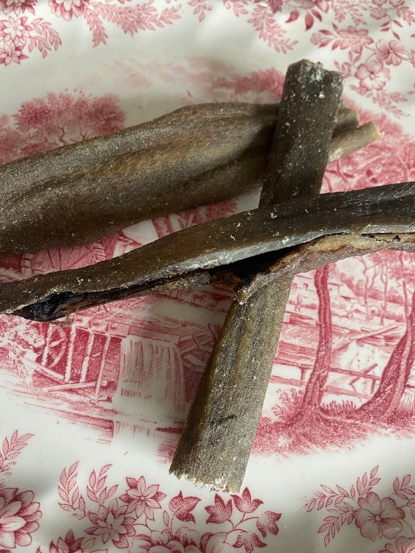Wild Boar Skin