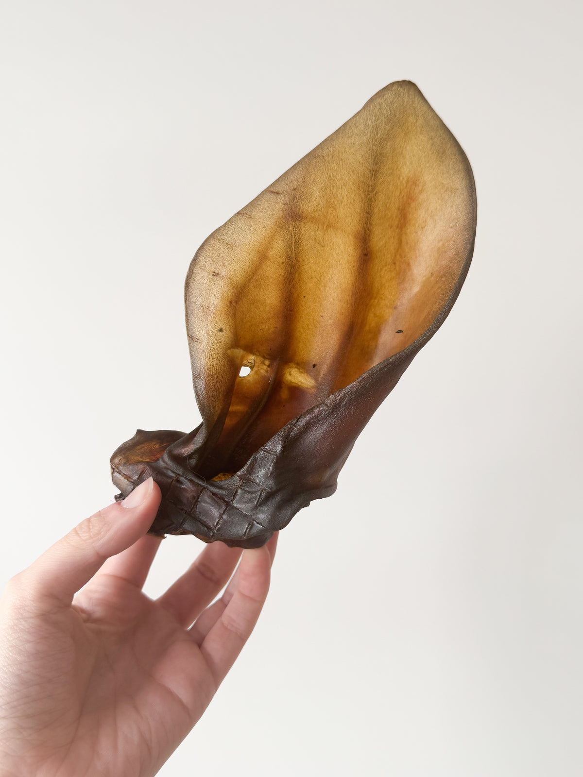 Beef Ears | Extra Large