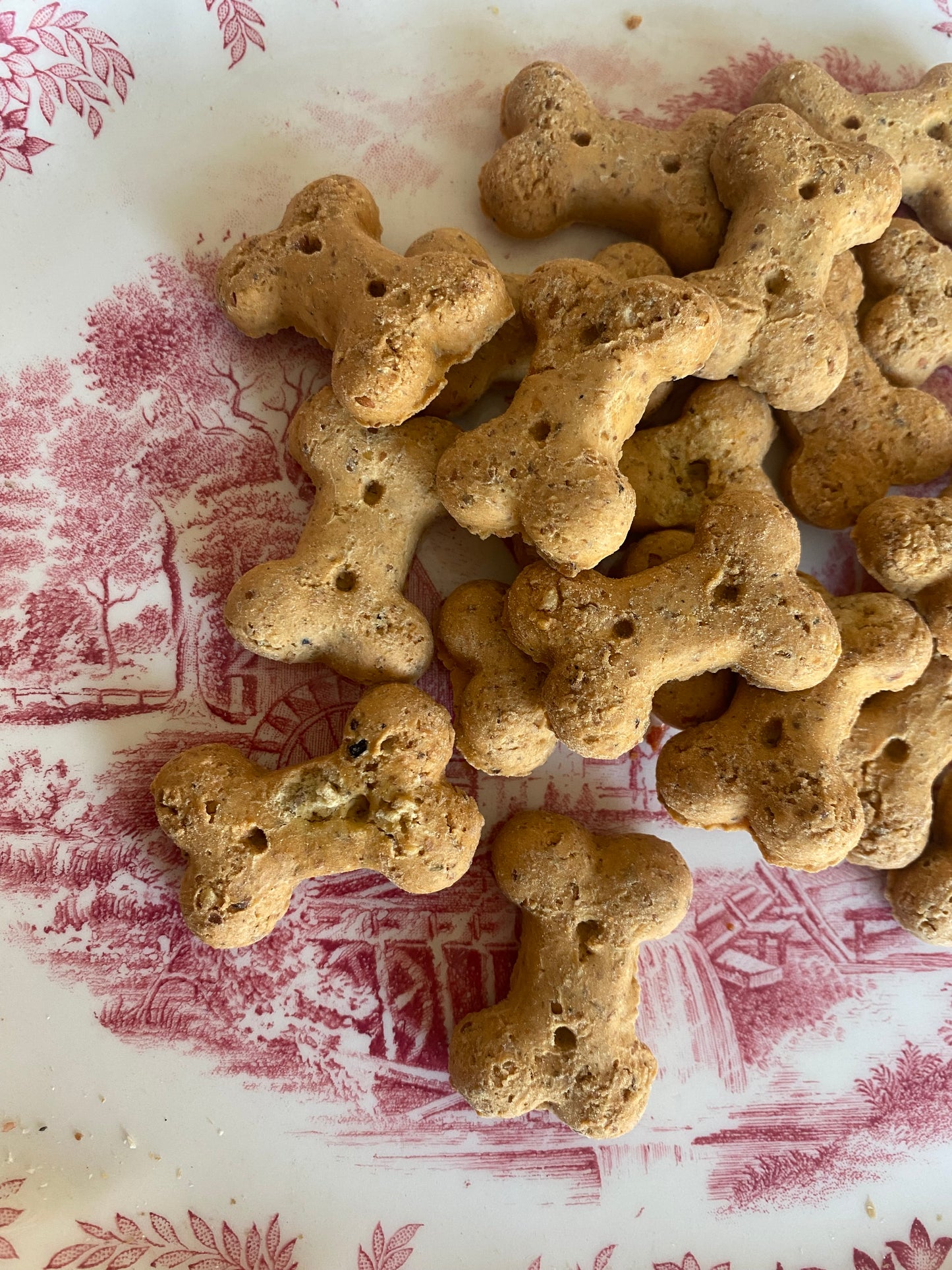 Duck & Orange Biscuit Bones