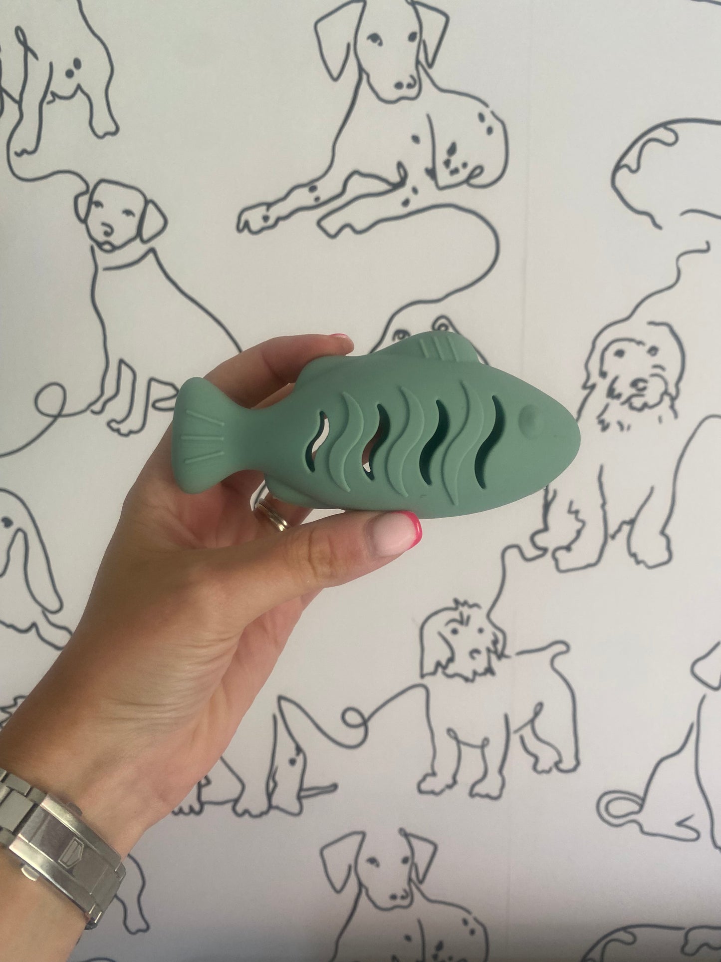 Mini Fish Treat Toy