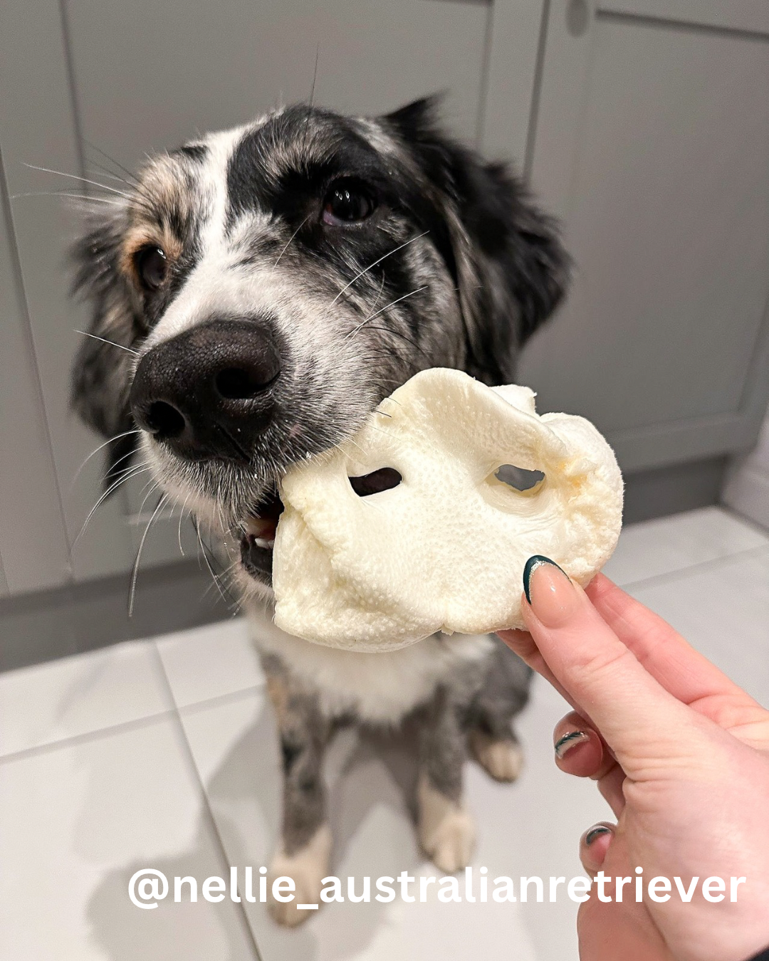 Puffed Pig Snouts