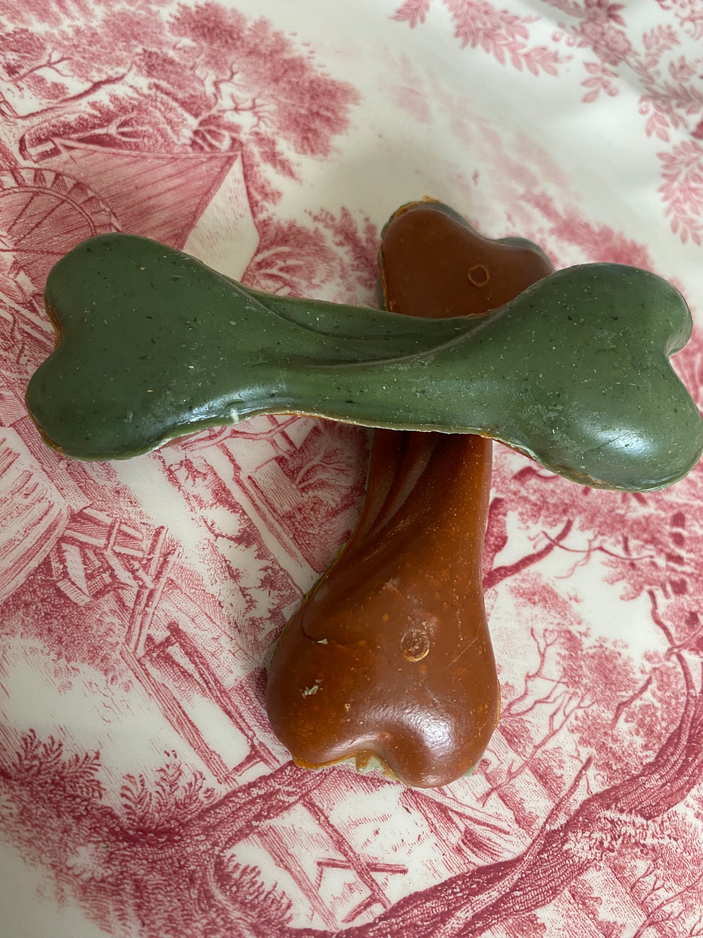 Nutribone