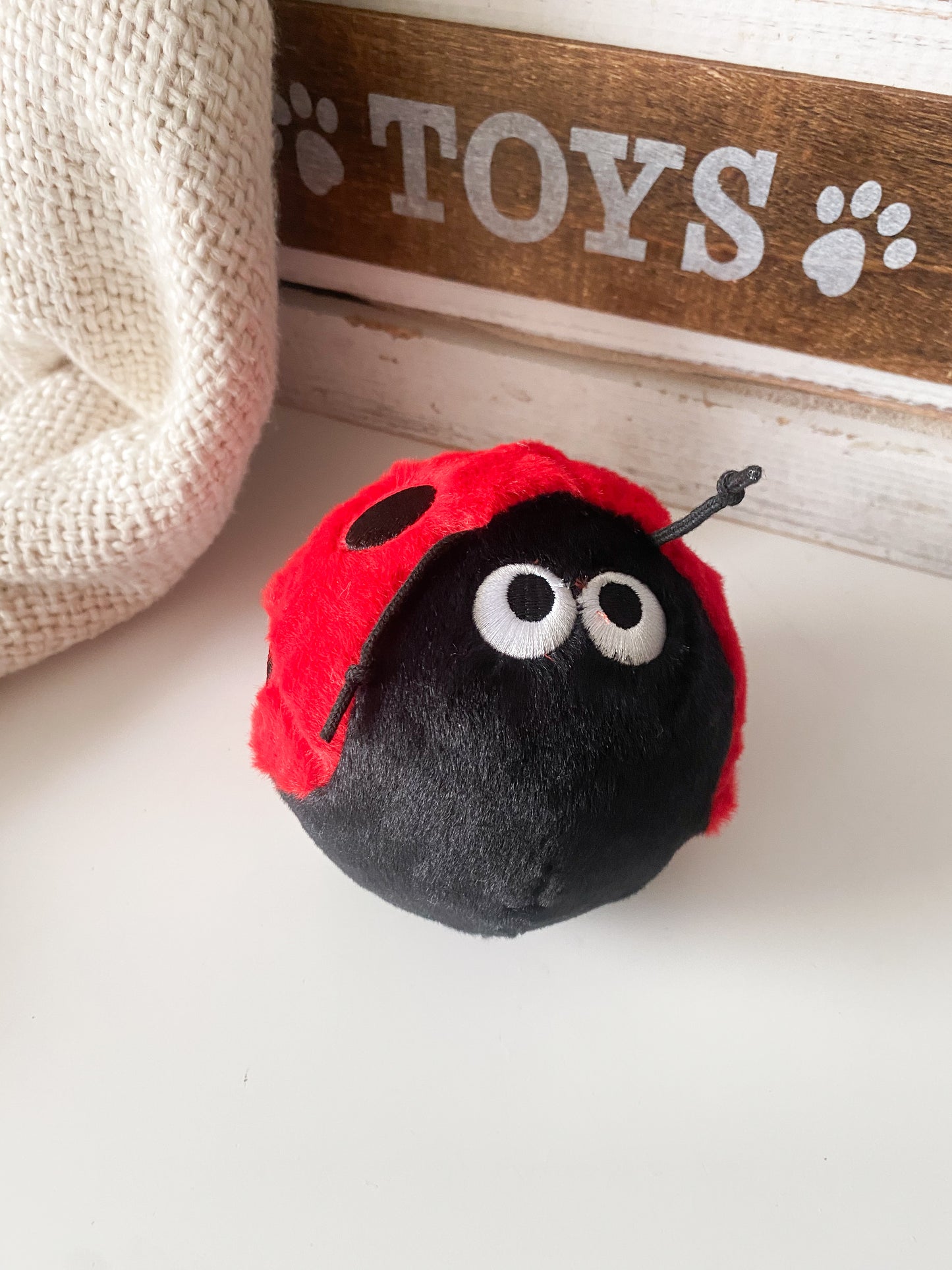 Lindy Ladybird Ball