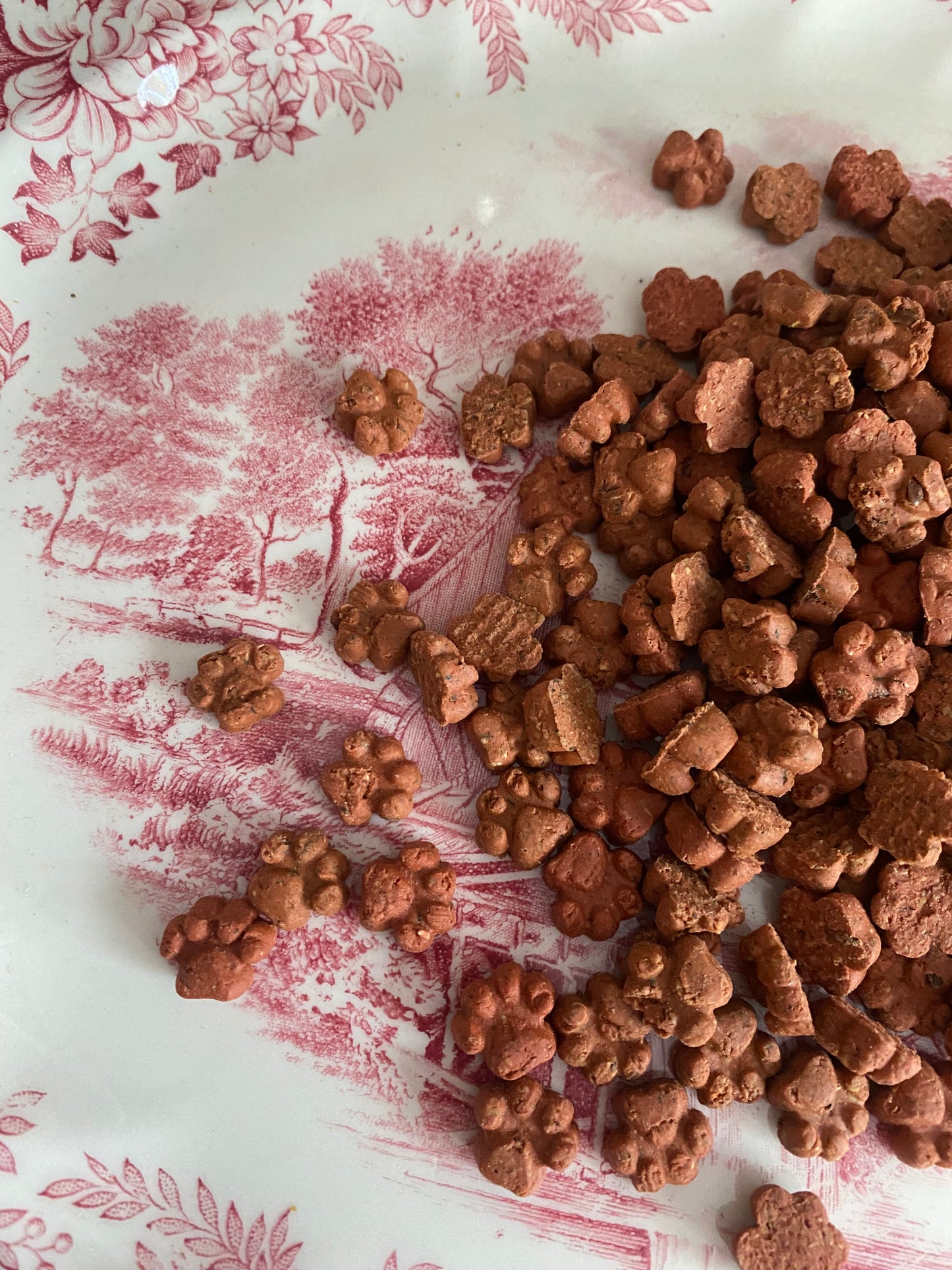 Salmon & Dill Tiny Paws | 100g