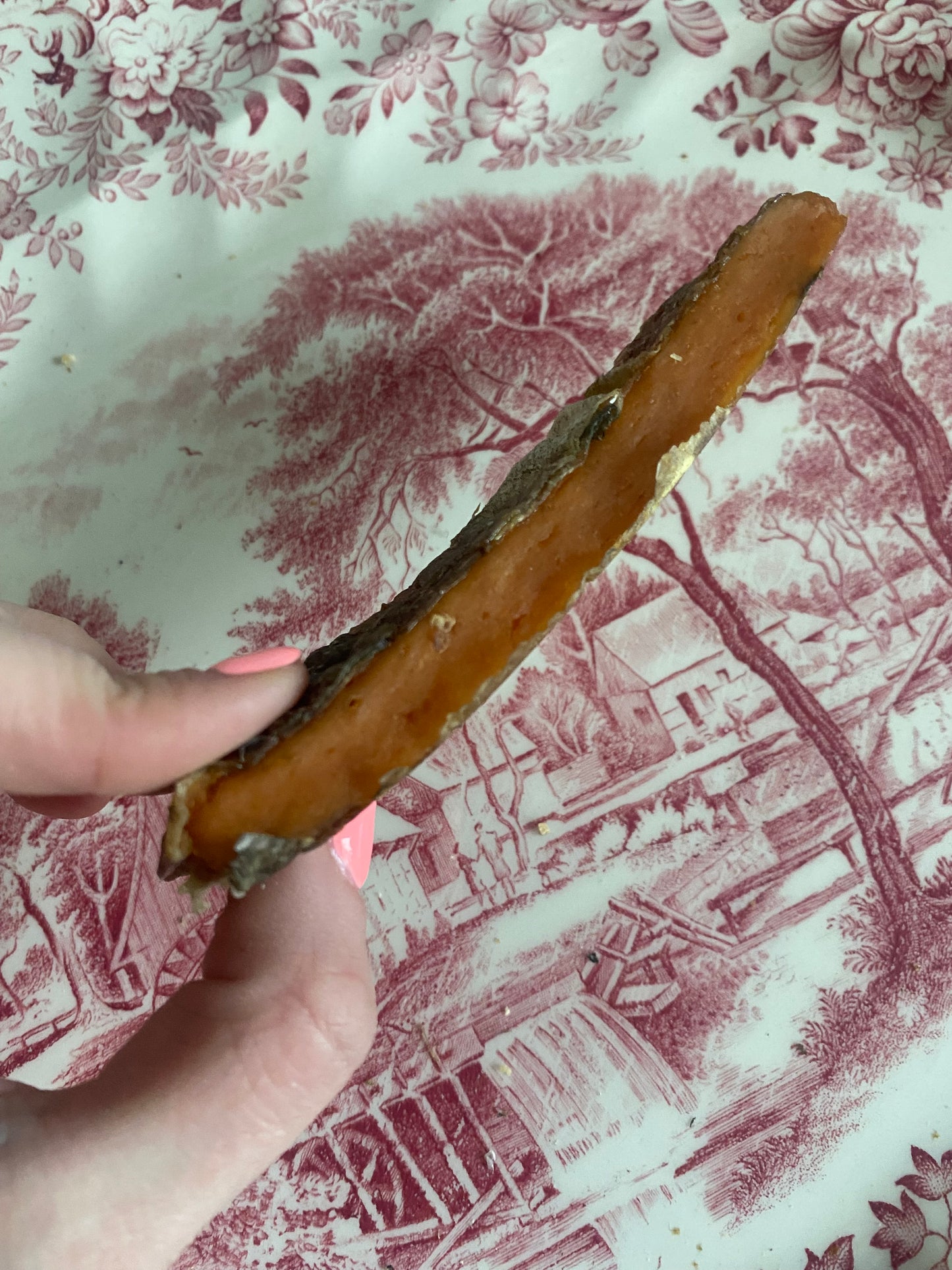 Chicken & Cod Chewy Bar