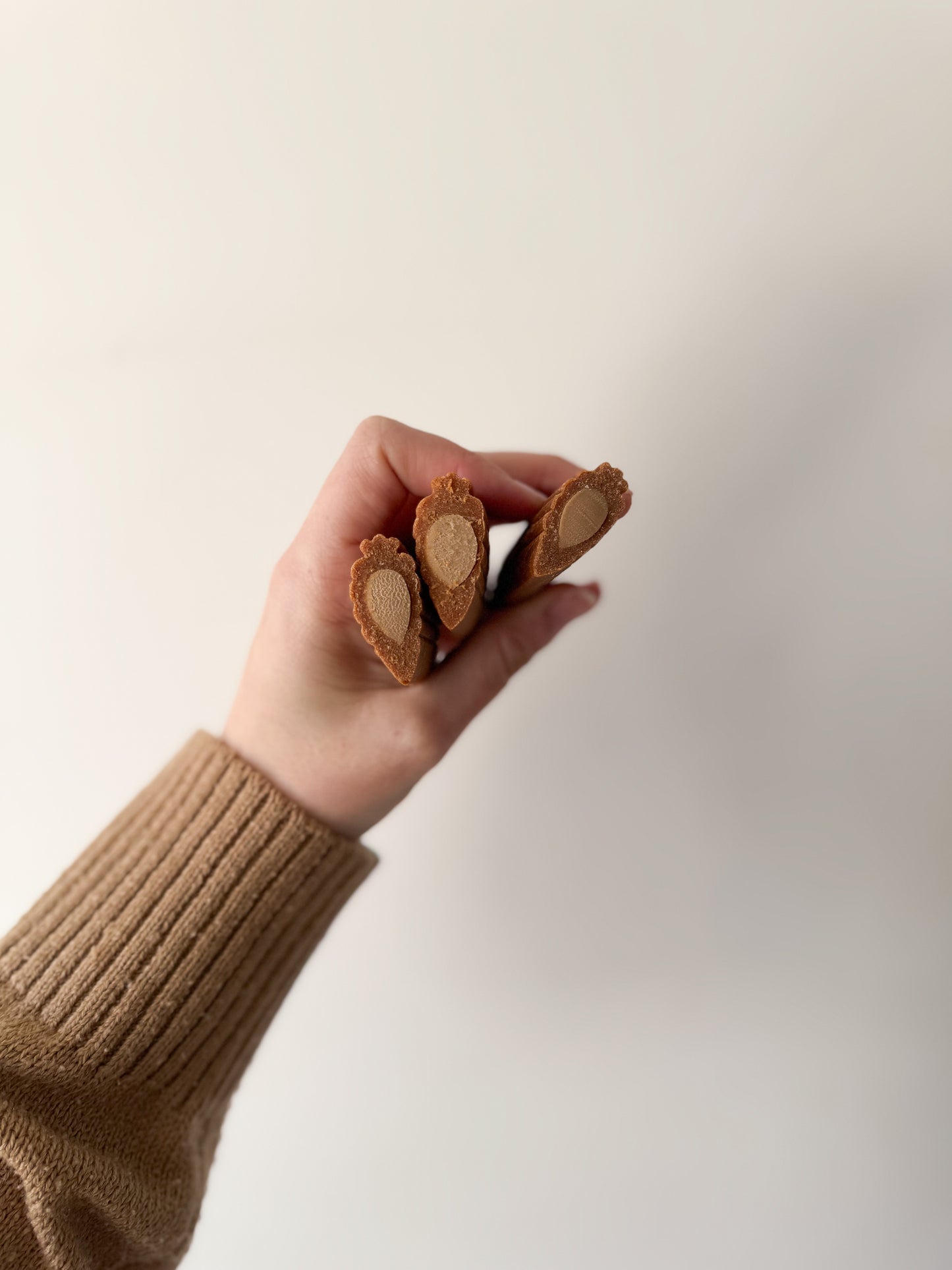 Carrot Bar | Veggie Chew