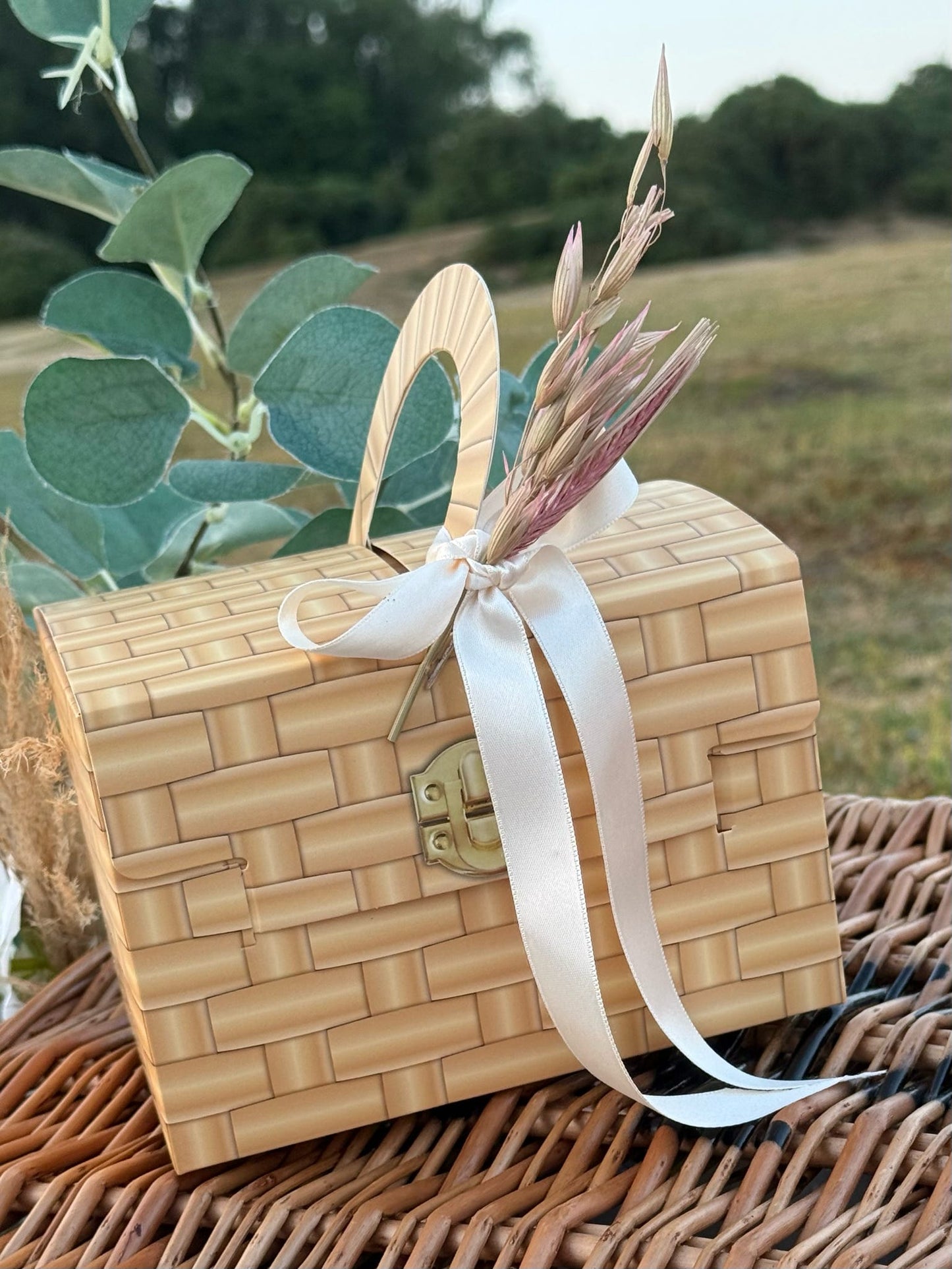 Ulti-mutt Picnic Box