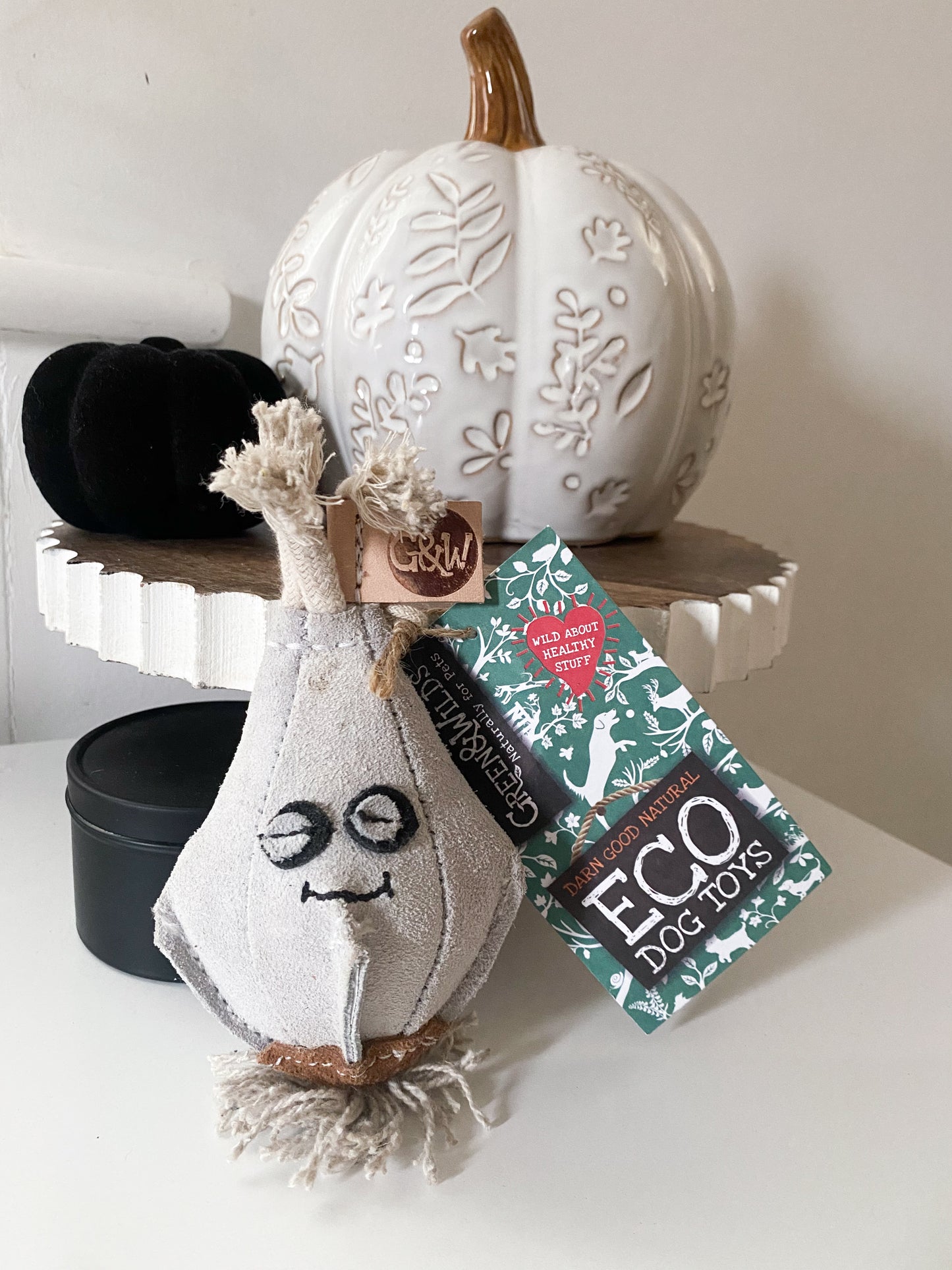 Gary The Garlic | Eco Toy