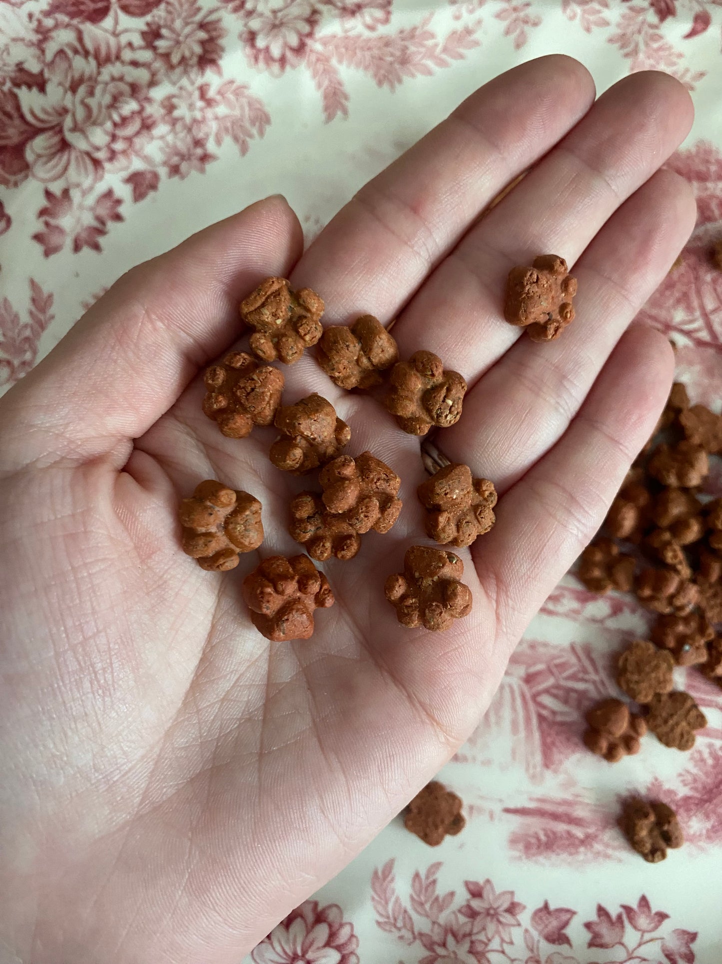Salmon & Dill Tiny Paws | 100g