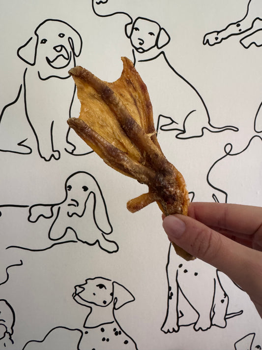 Duck Feet