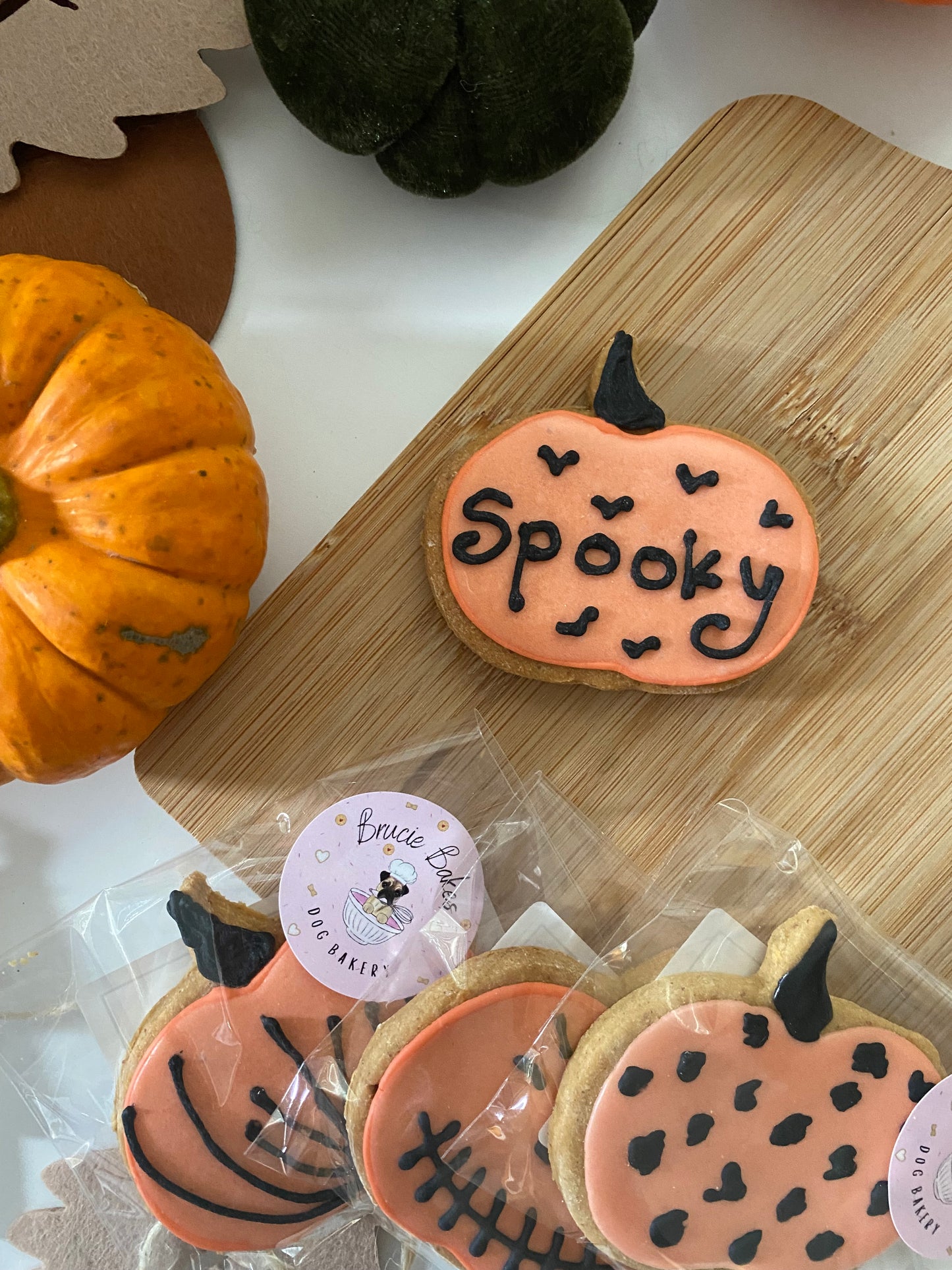 Pumpkin Iced Biscuit | Brucie Bakes | Various Designs
