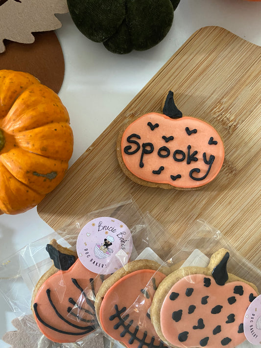 Pumpkin Iced Biscuit | Brucie Bakes | Various Designs