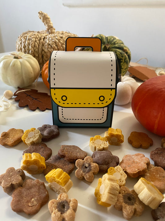 Adventure Back Pack Mix Up | 150g