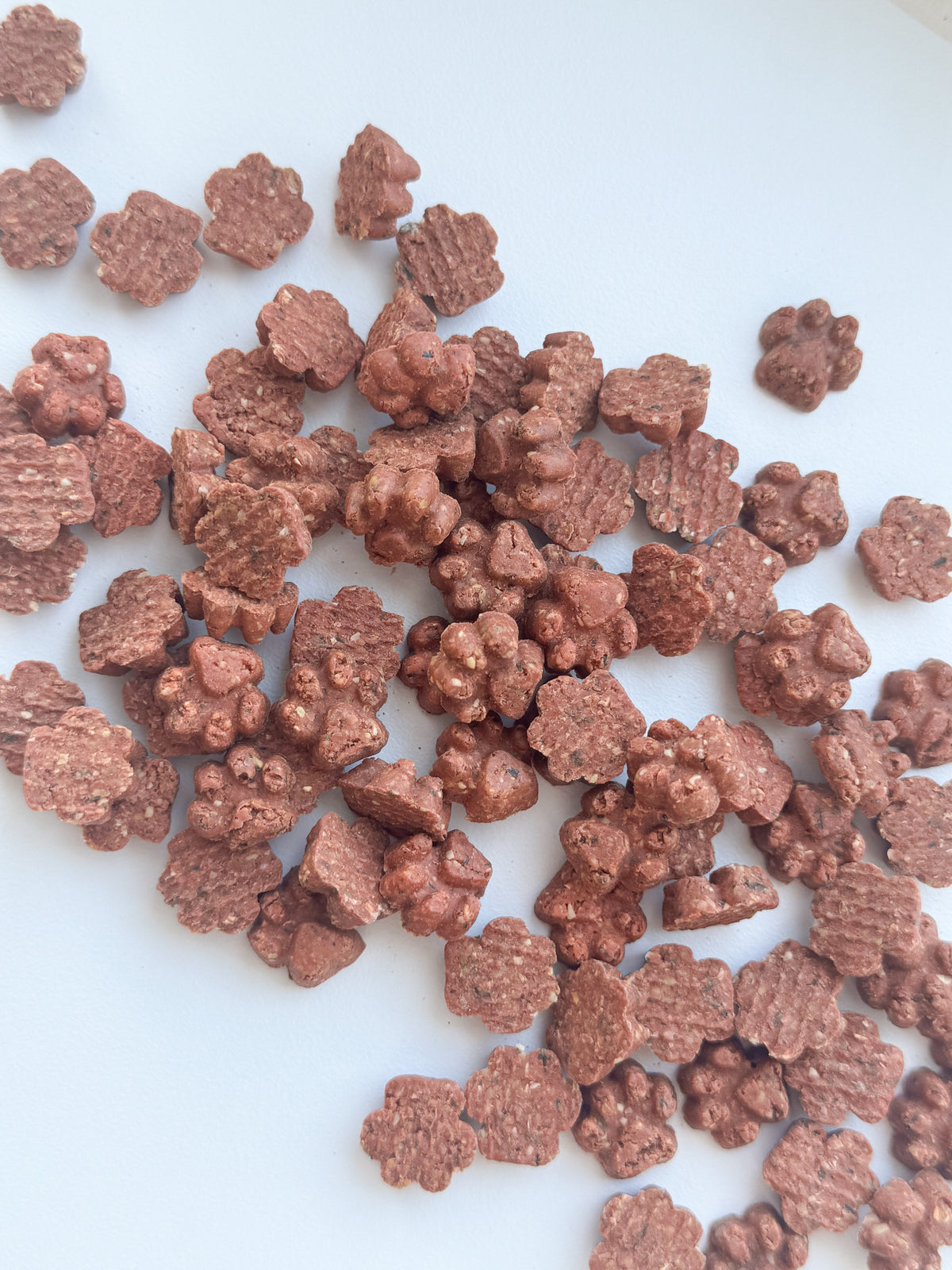 Salmon & Dill Mini Paws | 80g