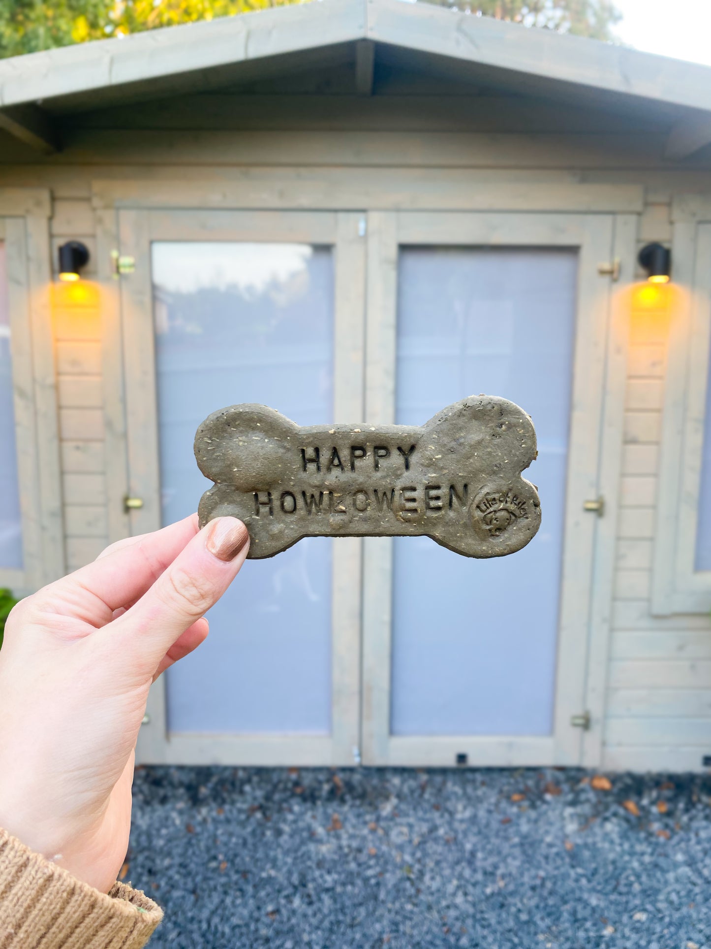 Happy Howloween Biscuit Bone | Life of Riley