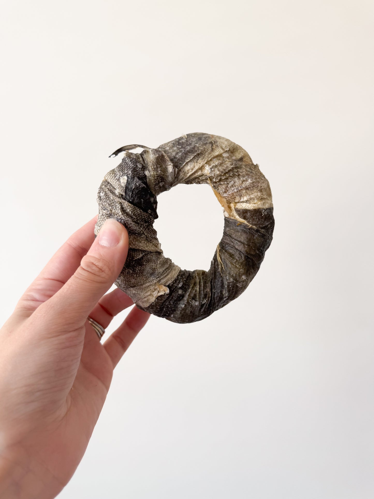 Cod Skin Doughnut