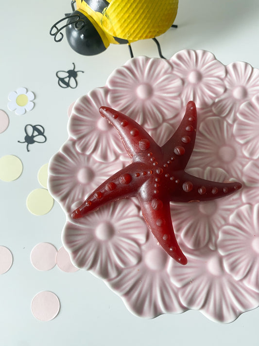 Starfish vegetable chew apple and mint flavour