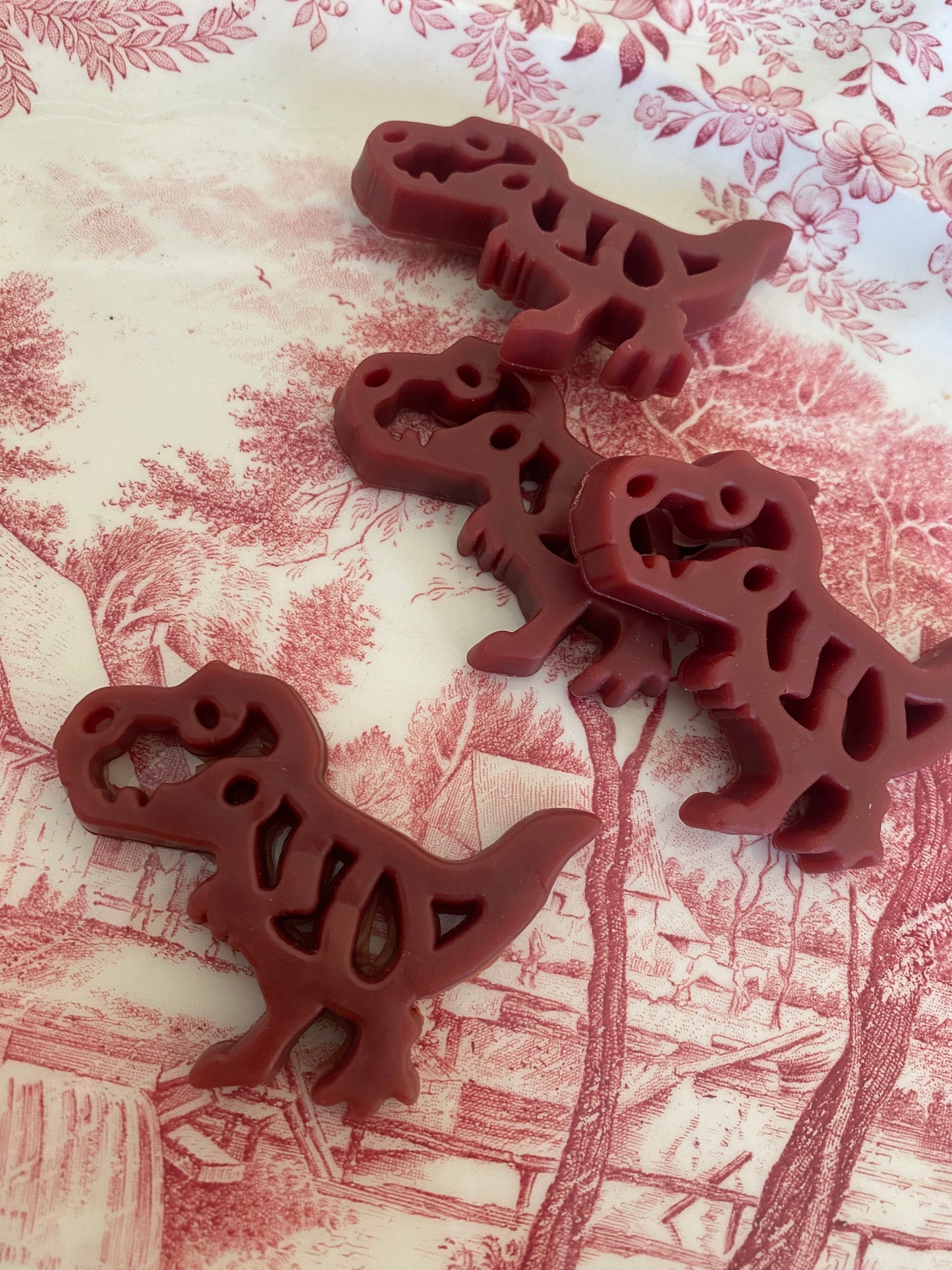 Chicken & Cranberry Dinosaurs