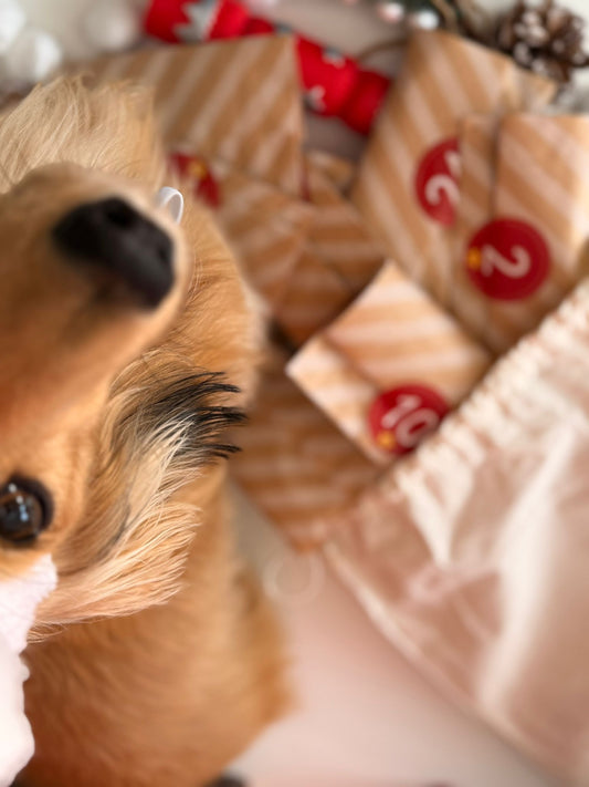 25 Days of Woofmas - Dog Advent Calendar *PRE ORDER* PLEASE CHECK OUT WITH NOTHING ELSE IN YOUR CART