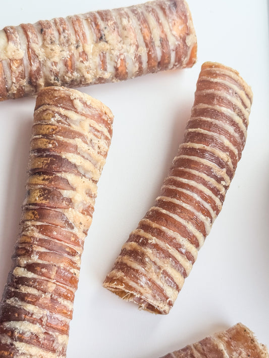 Beef Trachea | 12-15cm