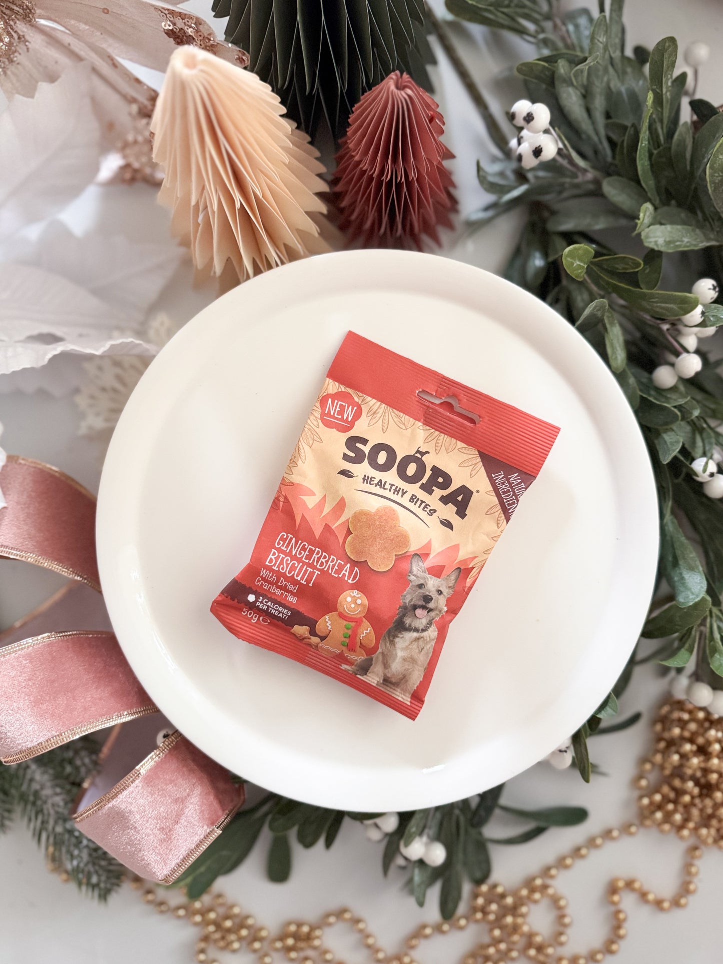 Soopa Bites | Gingerbread