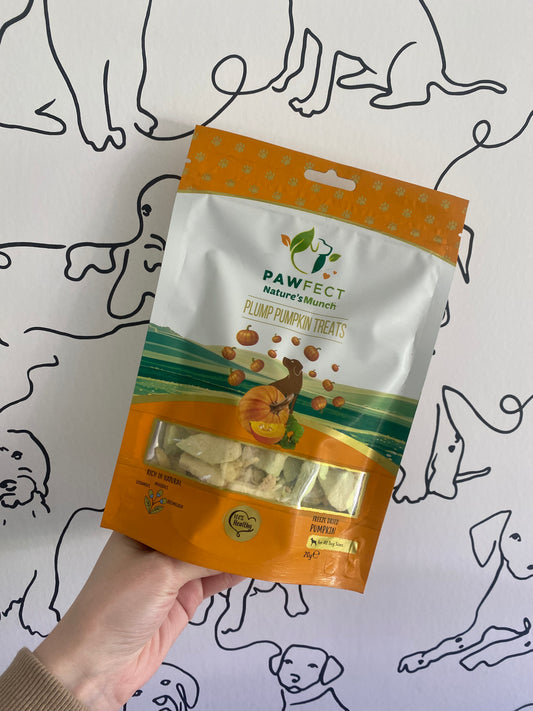 Freeze Dried Pumpkin