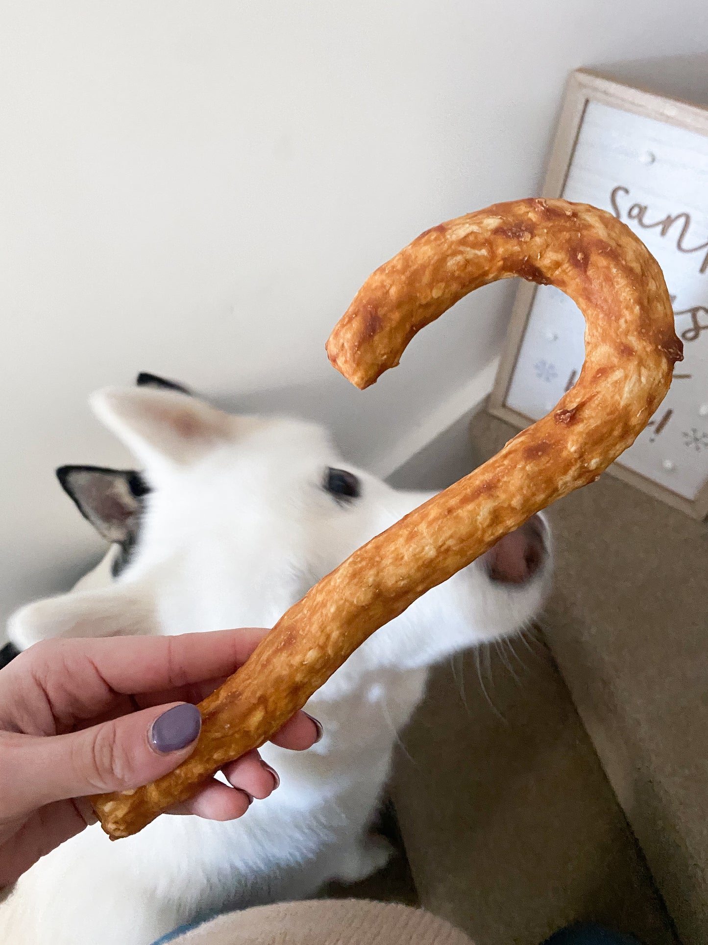 Giant Collagen Candy Cane | Chicken Flavour