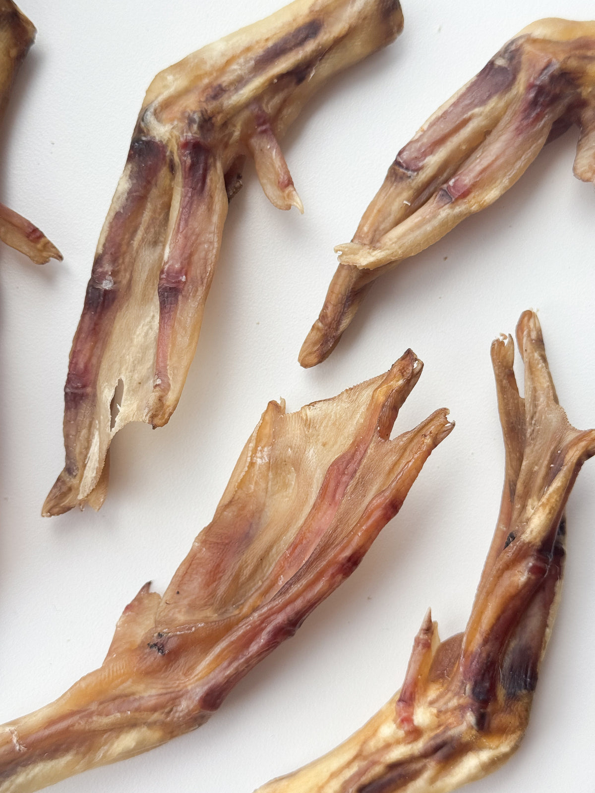 Duck Feet