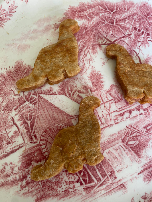 Chicken & Duck Dinosaurs