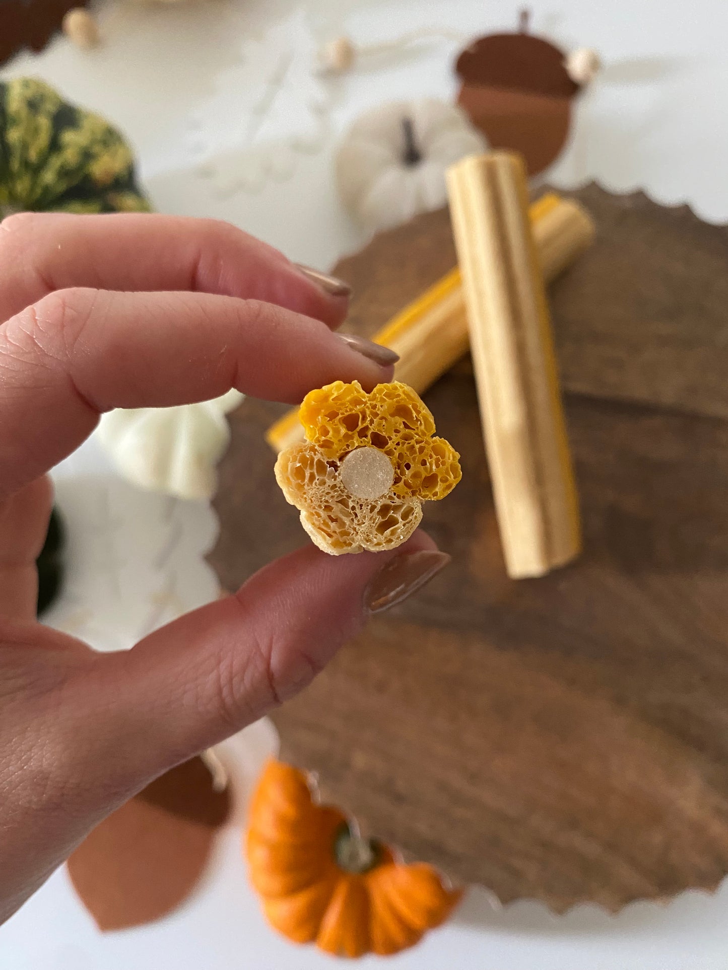 Pumpkin, Ginger & Coconut Sticks