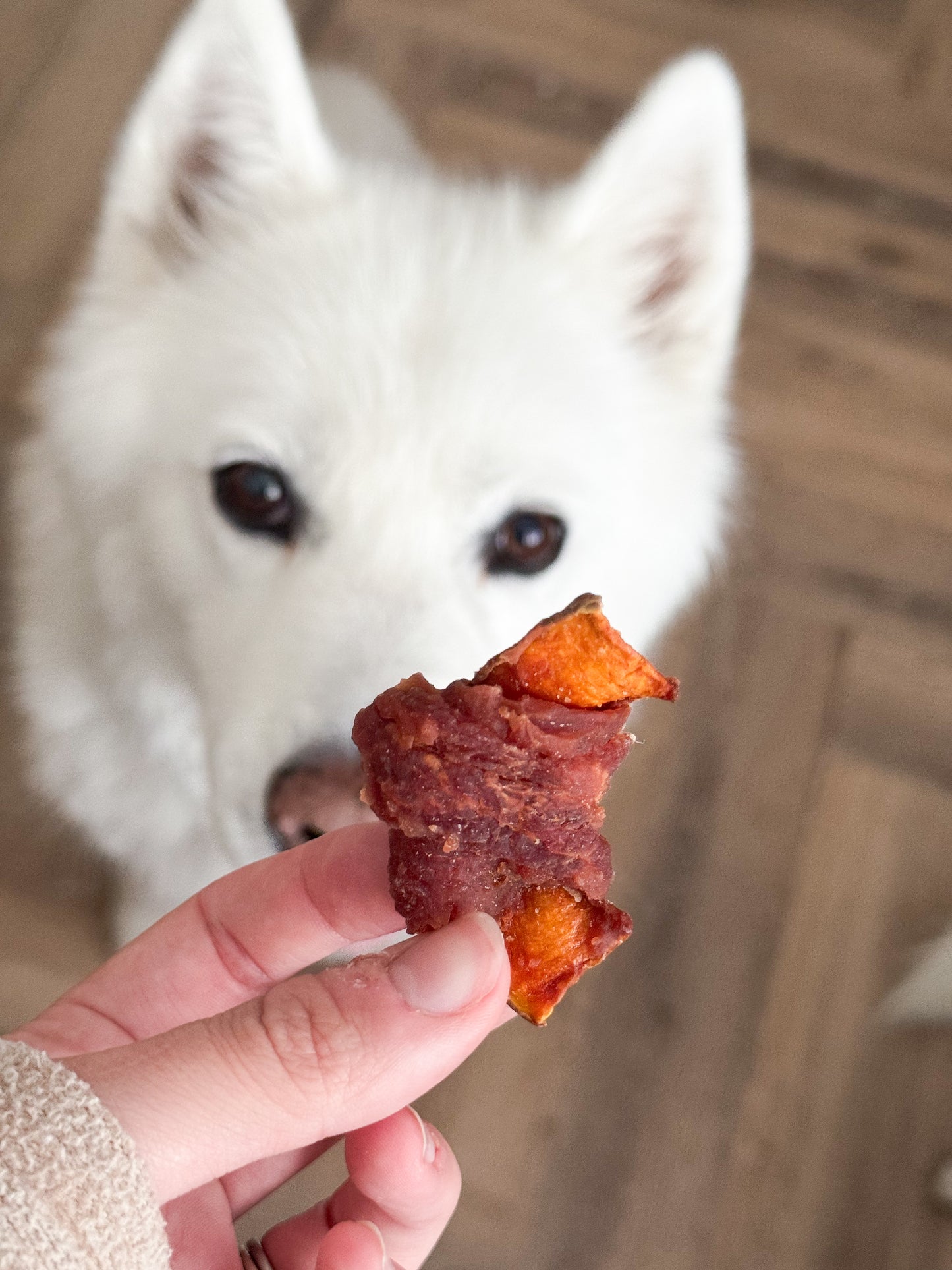 Duck Wrapped Pumpkin | 50g