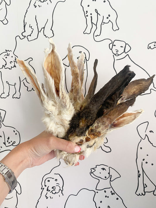 Rabbit Ears | With Fur