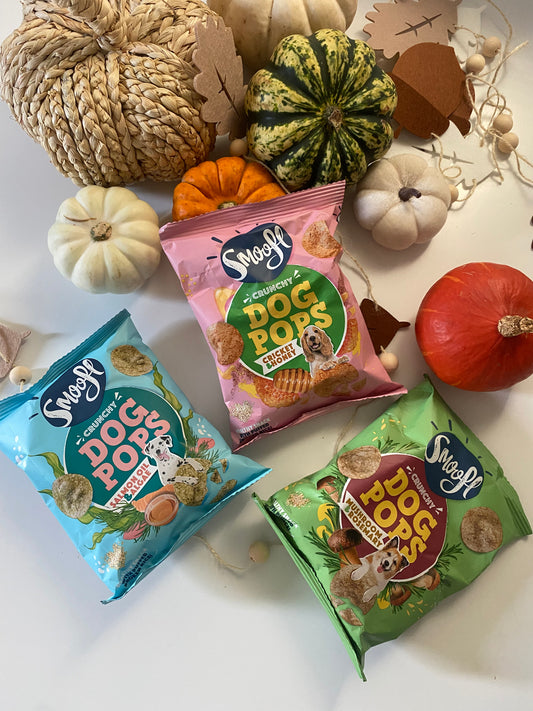 Smoofl Dog Pops | All Flavours