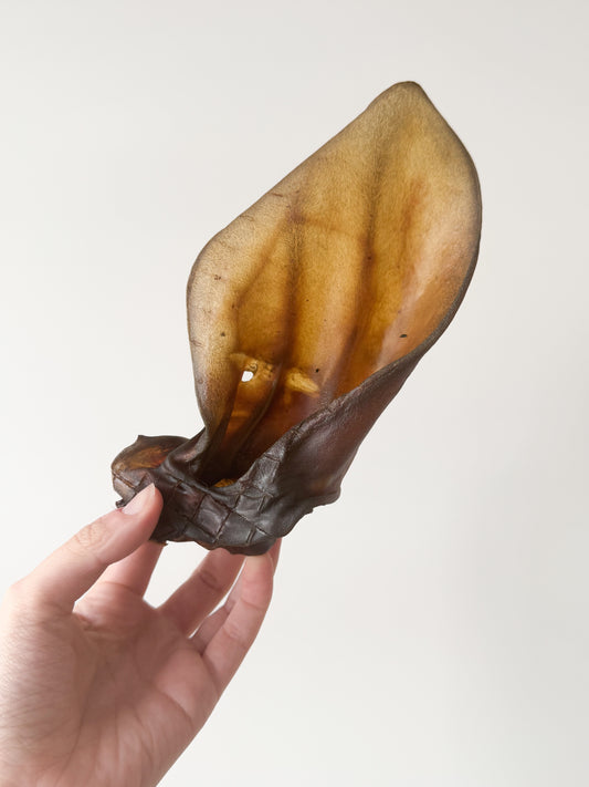 Beef Ears | Extra Large