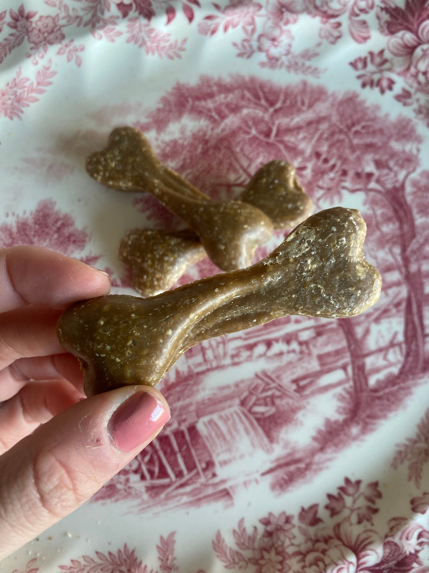 Bedtime Bones