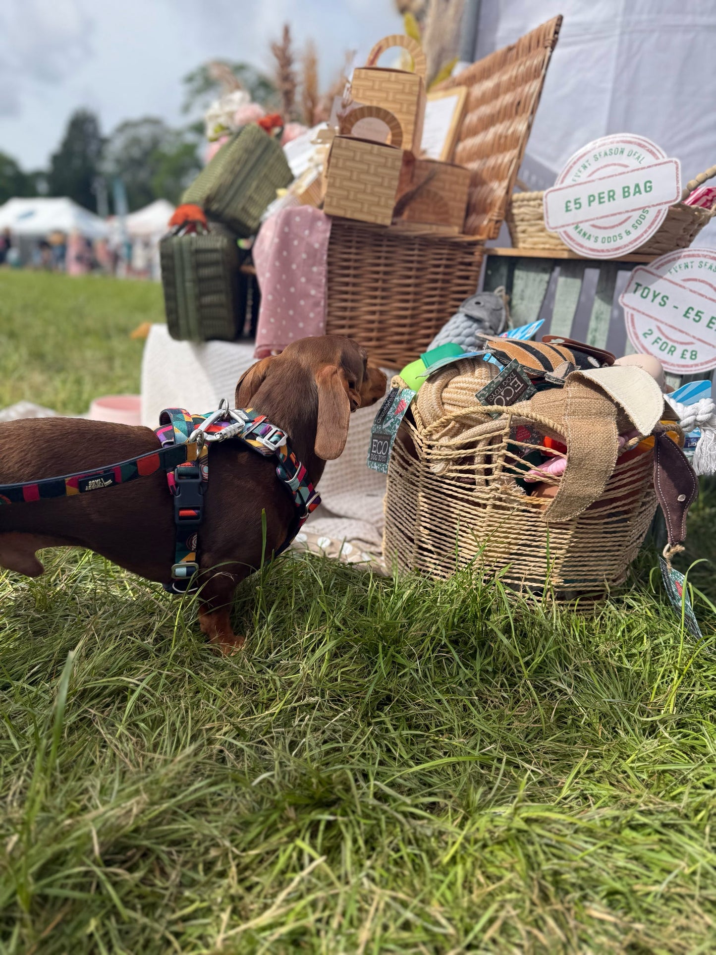 Toy Basket - 2 for £8