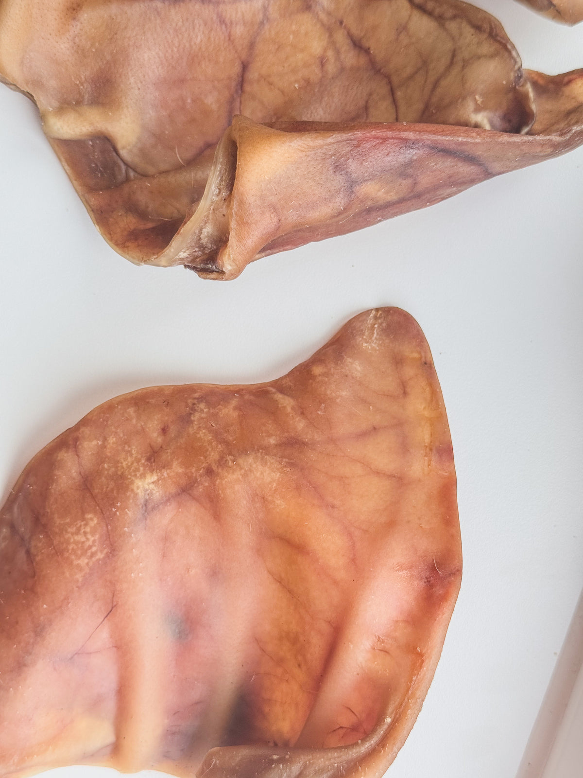 Large Pig Ears