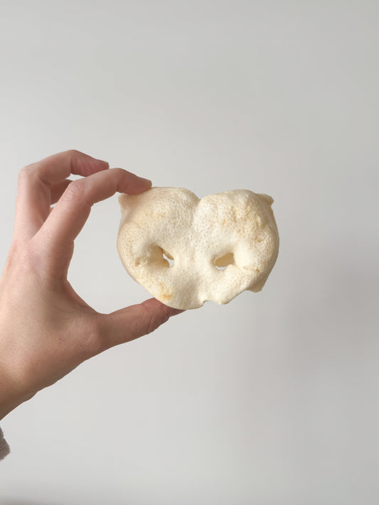 Puffed Pig Snout