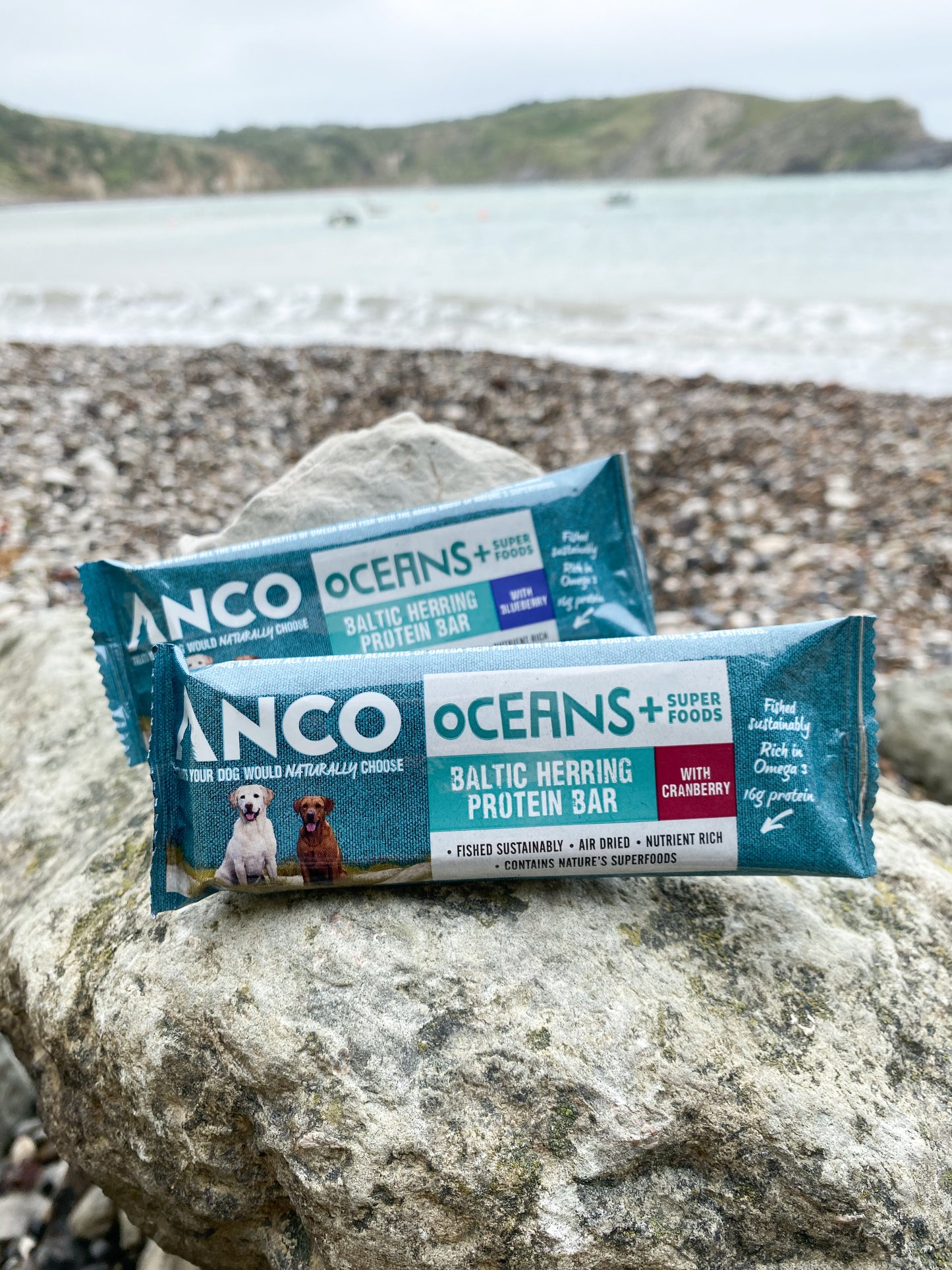 Oceans+ Herring Protein Bars | All Flavours