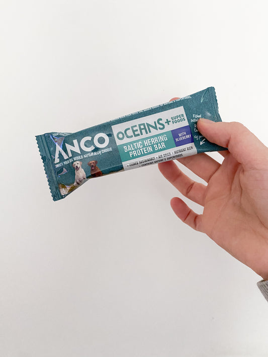 Oceans+ Herring Protein Bars | All Flavours