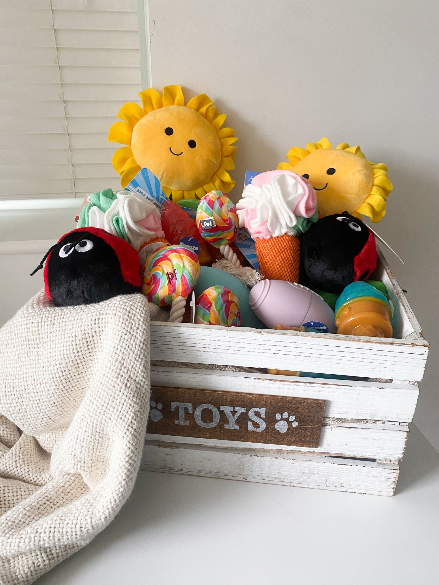 Ice Cream Freezer Toy